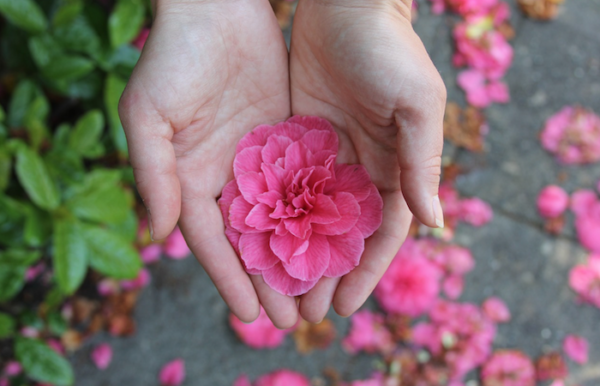 Program wsparcia dla dwujęzycznych rodzin